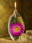 pic for flower lamp